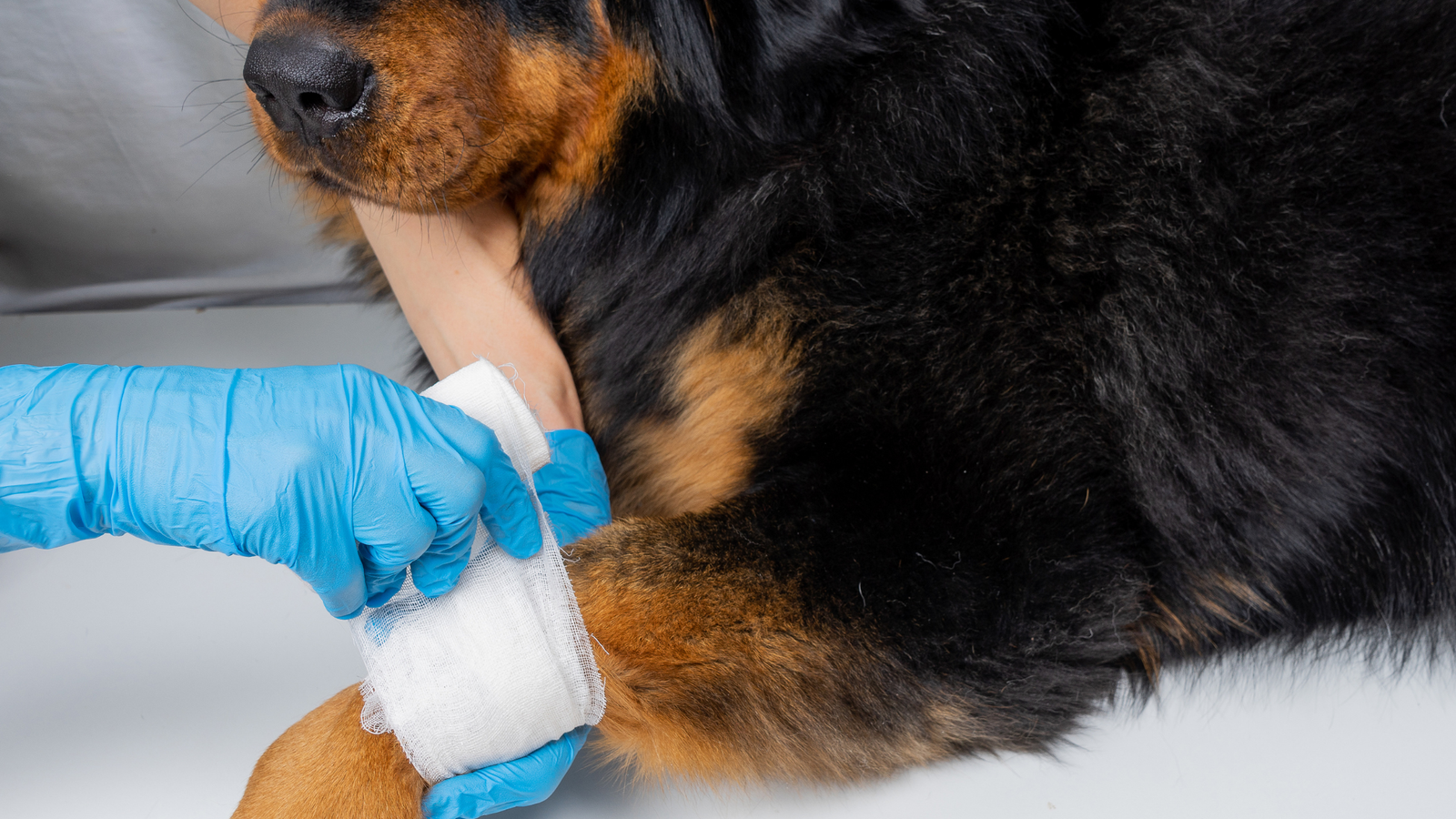 When Chronic Dermatology Cases Are Actually Wounds: Rethinking Topical Wound Care in Practice