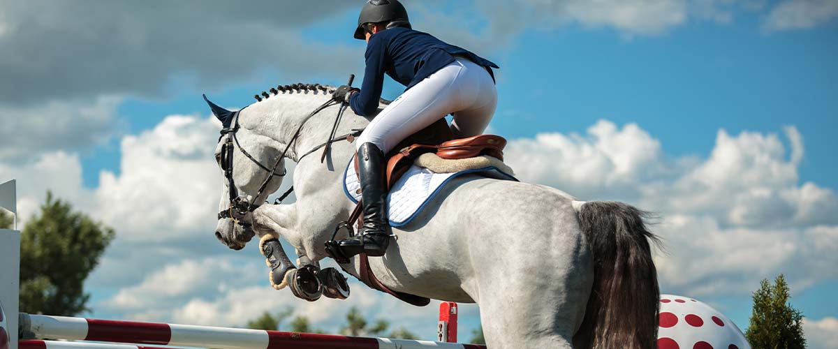 Every Equestrian’s Nightmare: Testing Positive for Equine Steroids