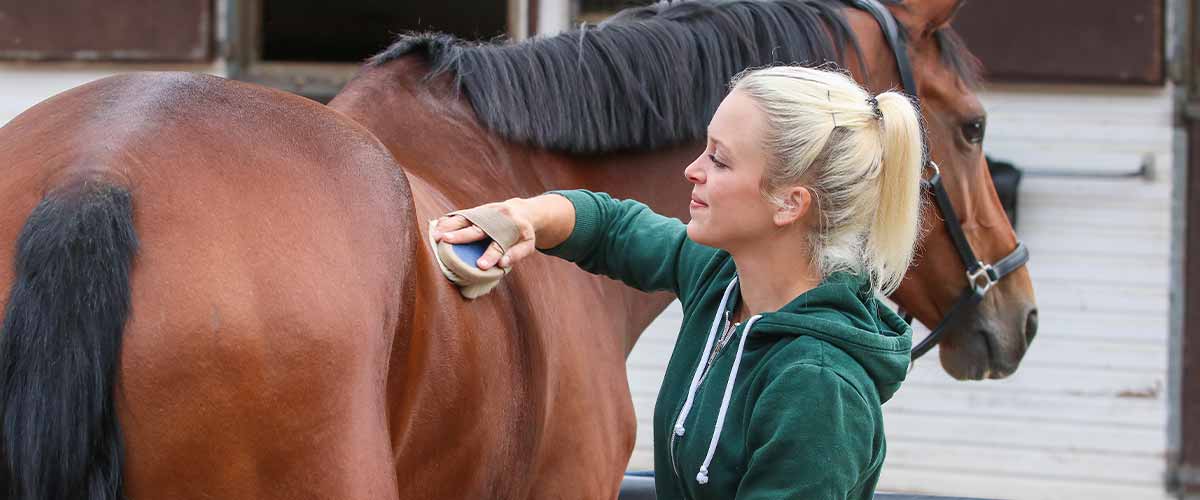 4 Stable Management Practices to Prevent Scratches