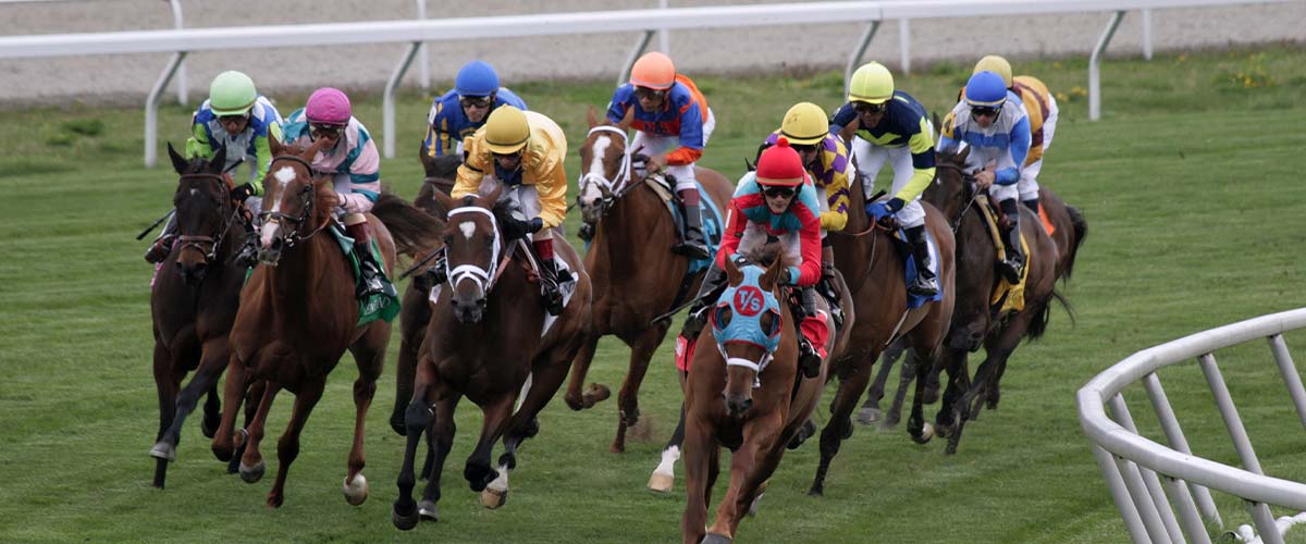 5 Takeaways on Banned Substances in Horse Racing in the USA