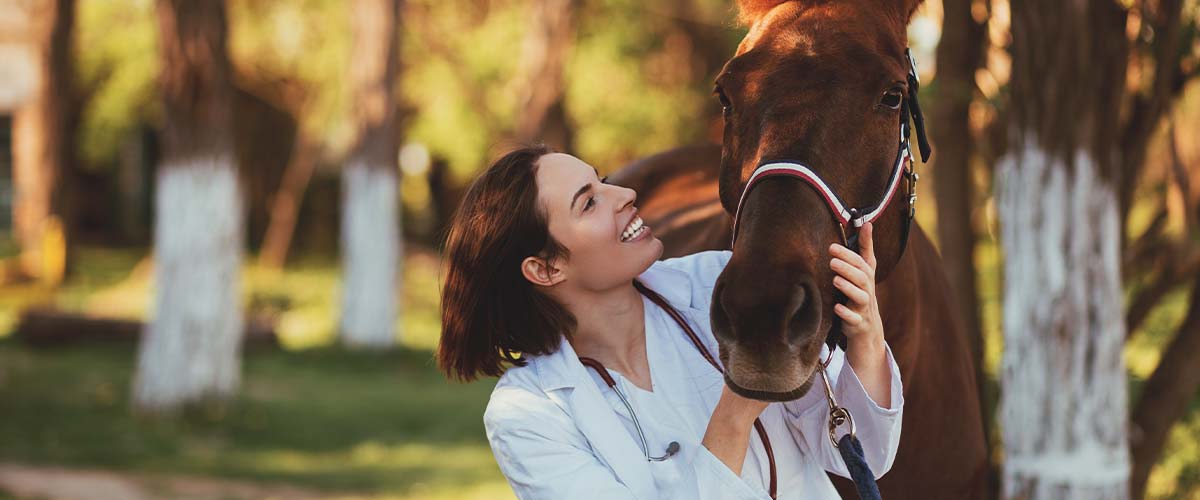 6 Tips to Manage Summer Sores in Horses