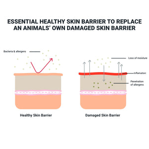 Essential Skin Salve for Horses